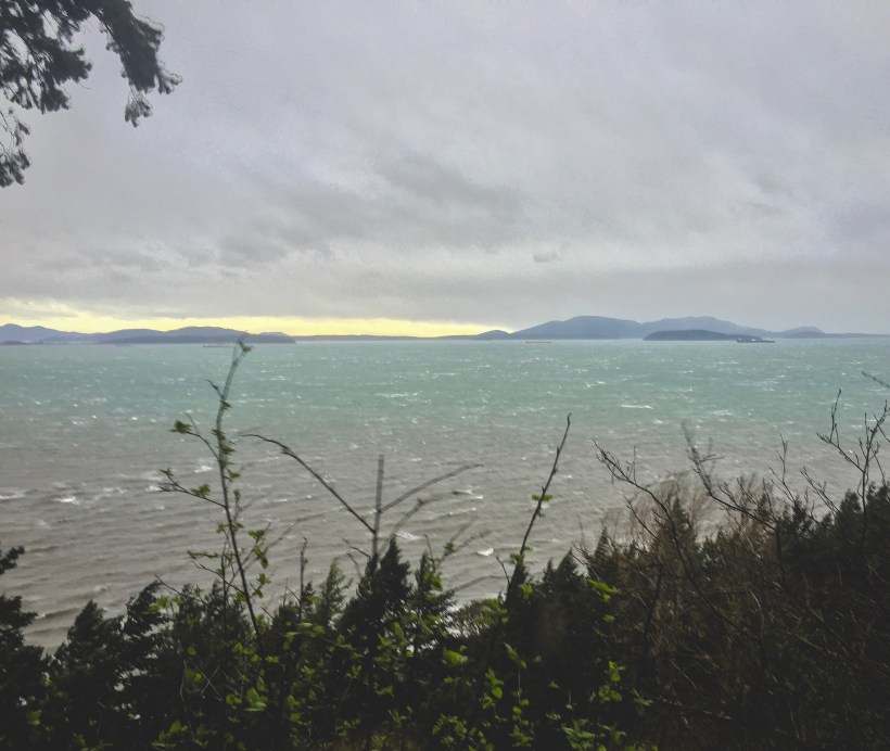 chuckanut drive